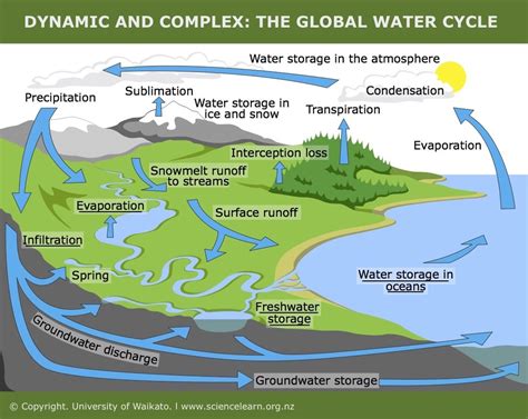 Where The Water Flows: A Dive into Simulated Hydrological Engineering and Ecological Management!